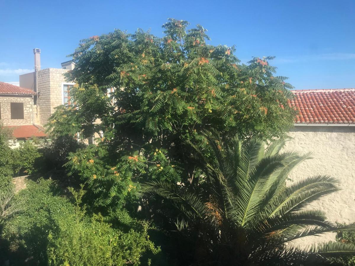 Apartment Gusar